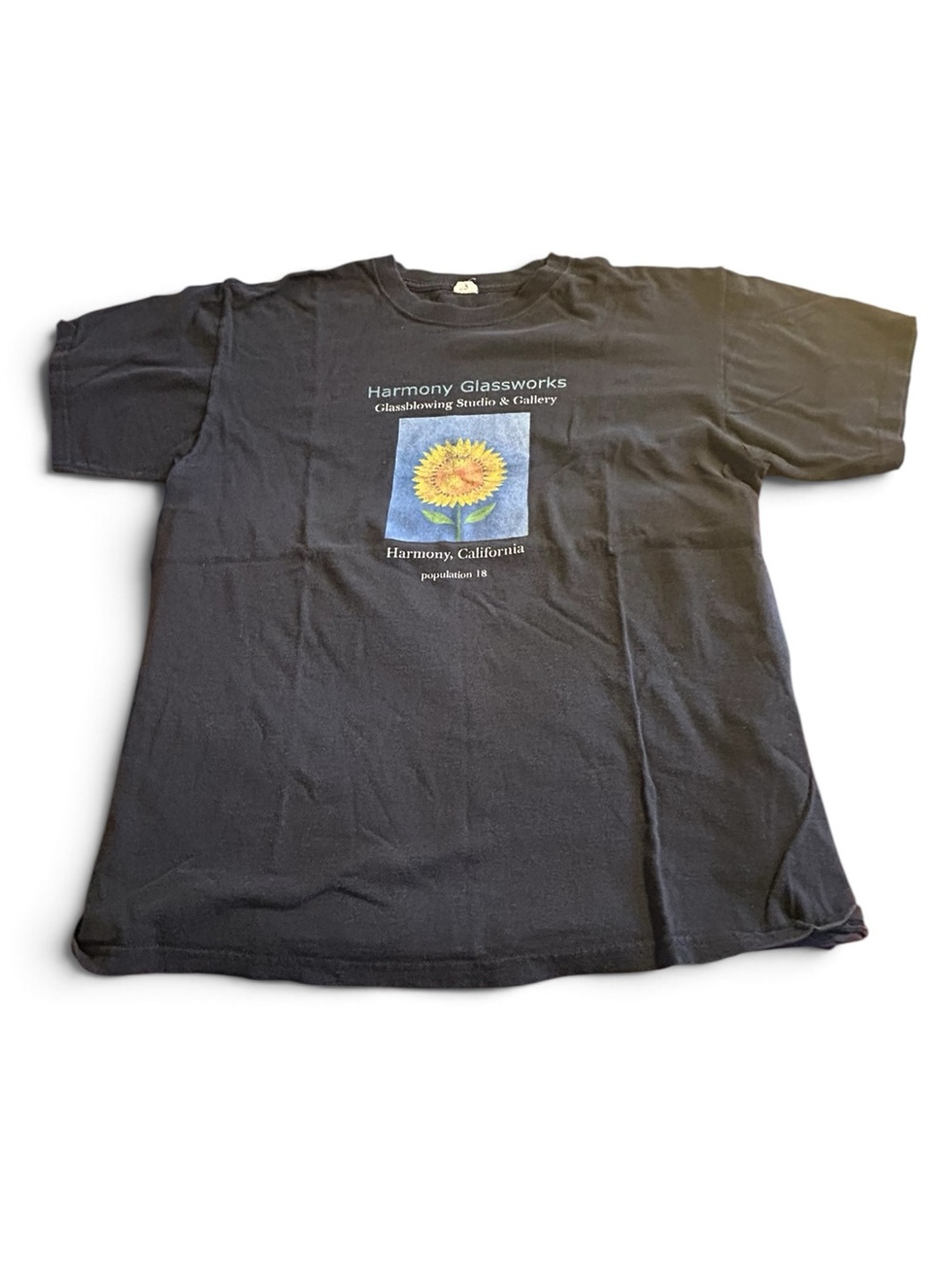 Vintage Harmony Glassworks California Souvenir T-Shirt Large Black Anvil 22x28